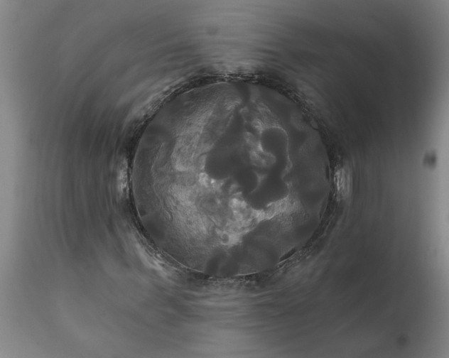 X0000111820963200907301253