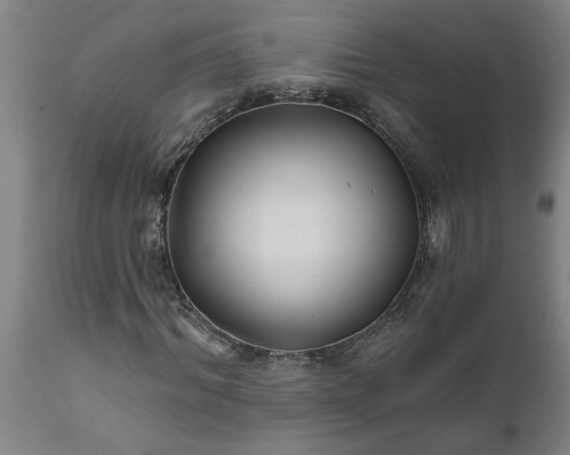 X0000111820964200907301253