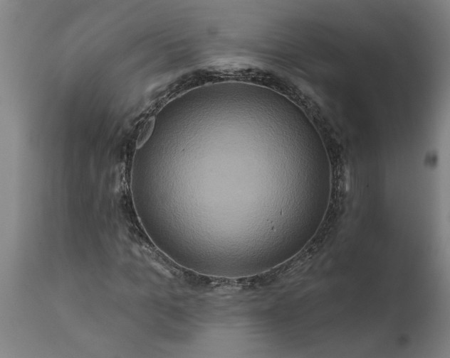 X0000111820965200907301253