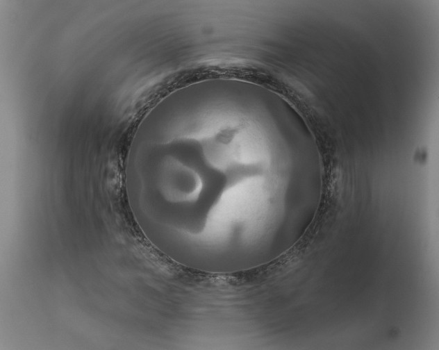 X0000111820966200907301253