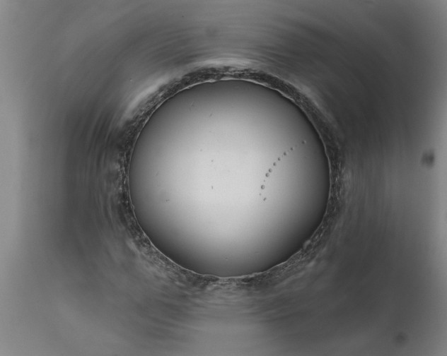 X0000111820967200907301253