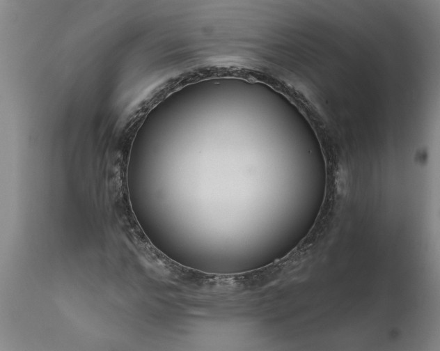 X0000111820968200907301253