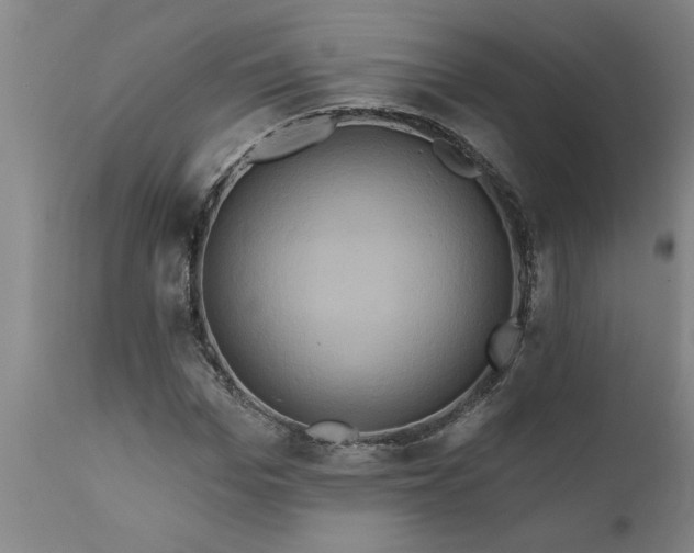 X0000111820969200907301253