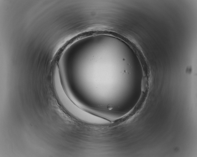 X0000111820973200907301253
