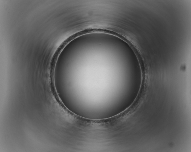 X0000111820976200907301252