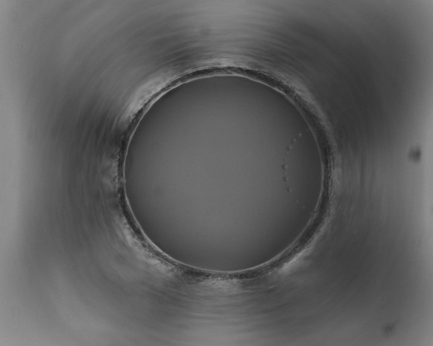 X0000111820977200907301252