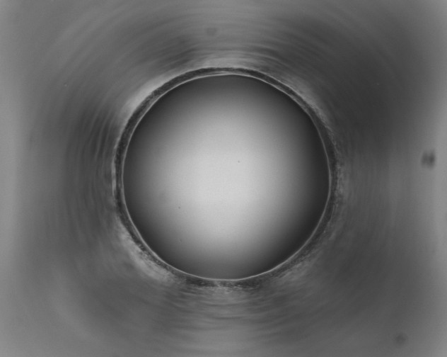 X0000111820980200907301252