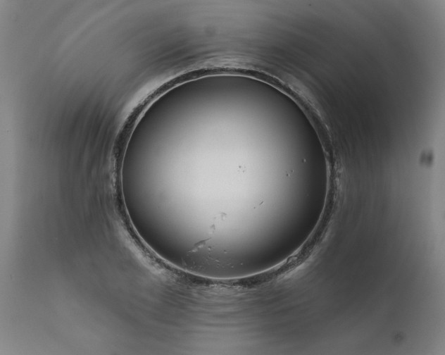 X0000111820981200907301252