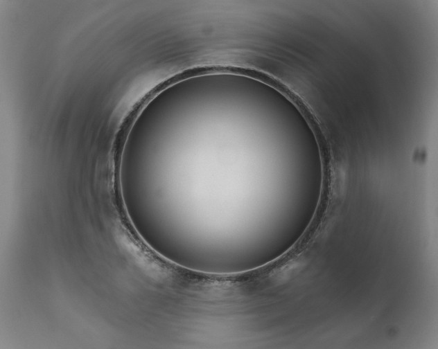 X0000111820982200907301252
