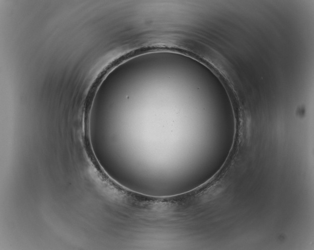 X0000111820984200907301252