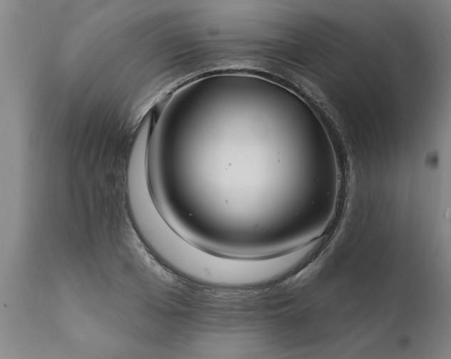 X0000111820985200907301252