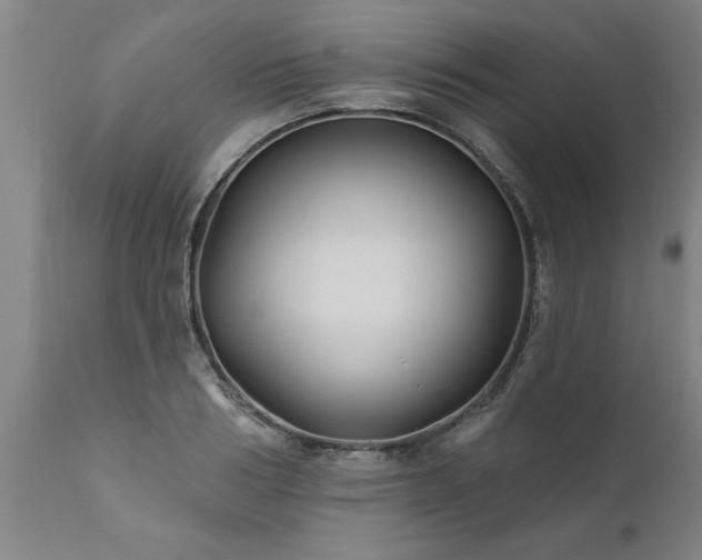 X0000111820986200907301252