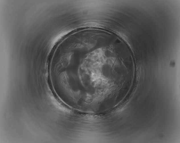 X0000111820987200907301252