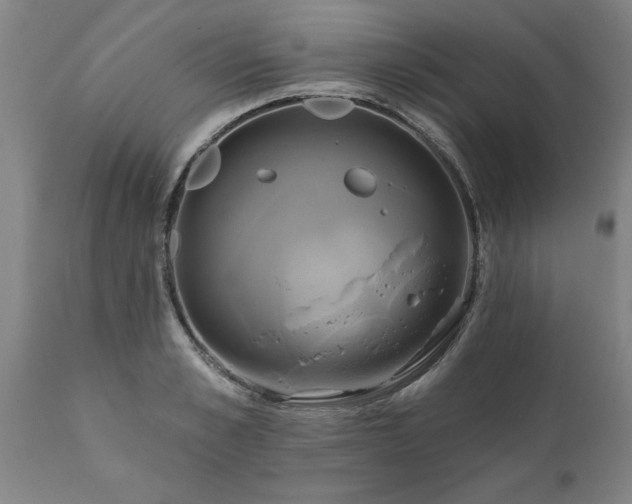 X0000111820989200907301252