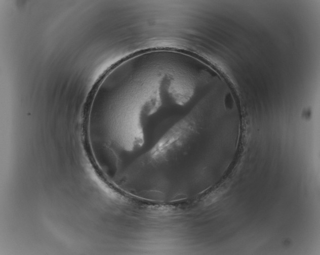 X0000111820991200907301252