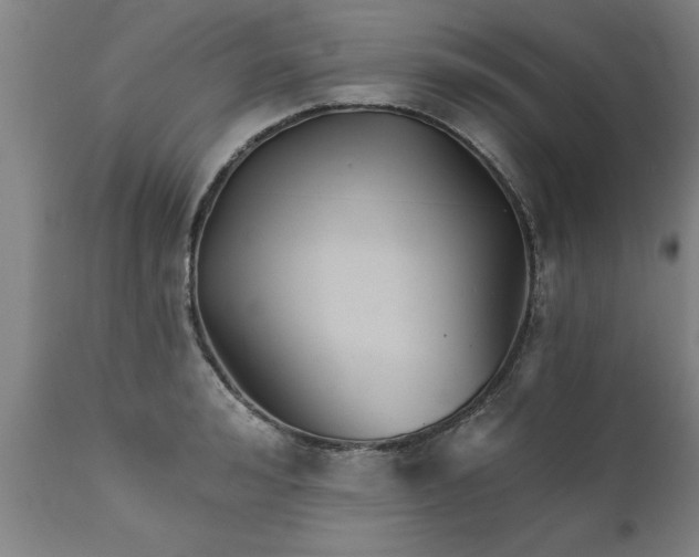 X0000111820992200907301252