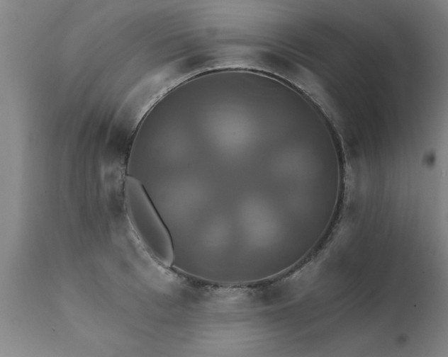 X0000111820993200907301252