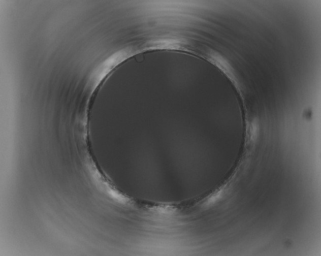 X0000111820994200907301252