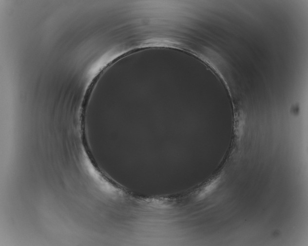X0000111820995200907301252