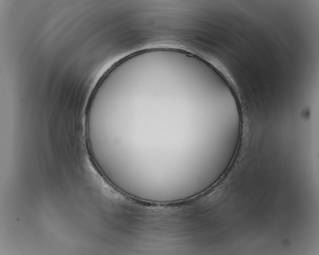 X0000111820996200907301252