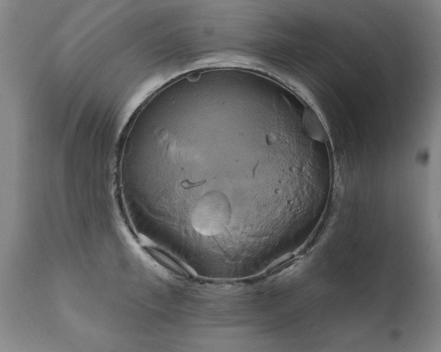 X0000111820997200907301252