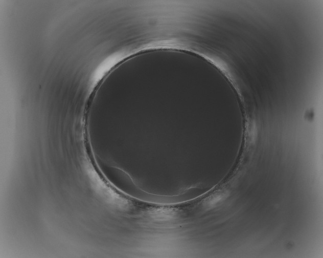 X0000111820998200907301252