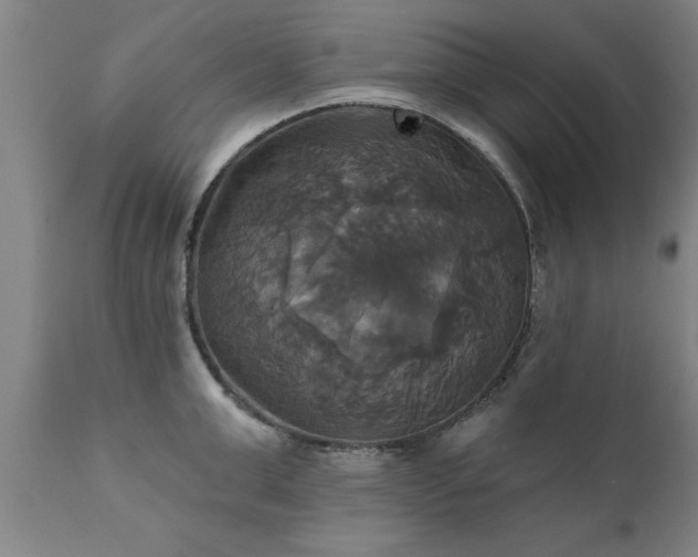 X0000111820999200907301252