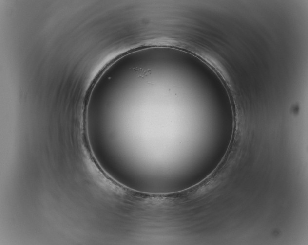 X0000111821000200907301252