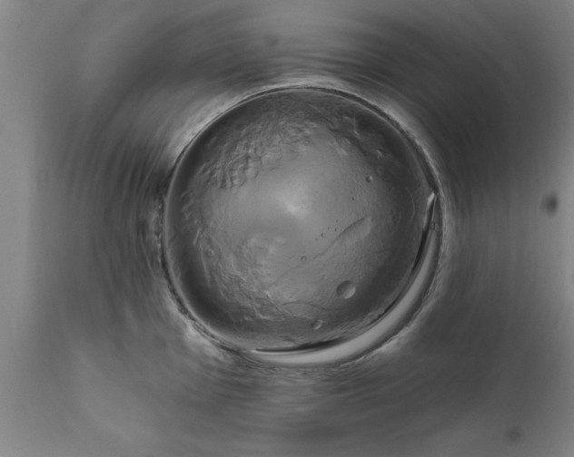 X0000111821001200907301252