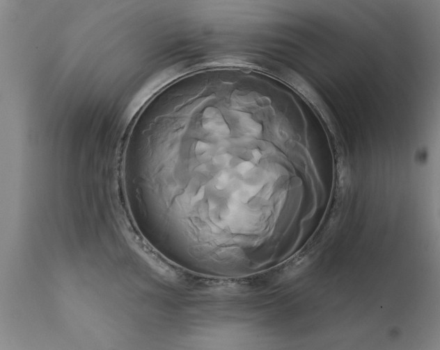 X0000111821002200907301252