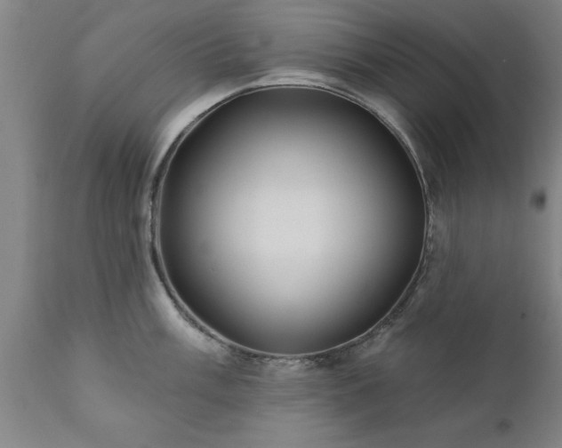 X0000111821003200907301252