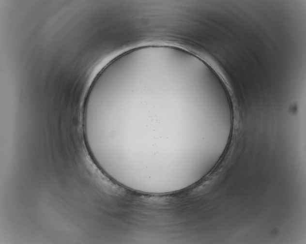 X0000111821004200907301252
