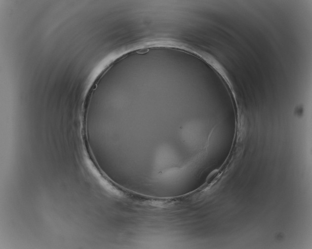 X0000111821005200907301252