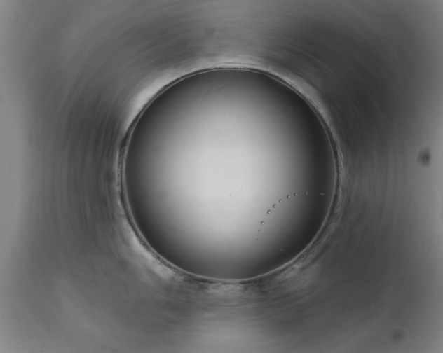 X0000111821006200907301252
