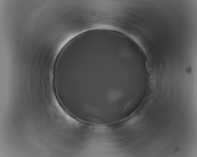 X0000111821007200907301252