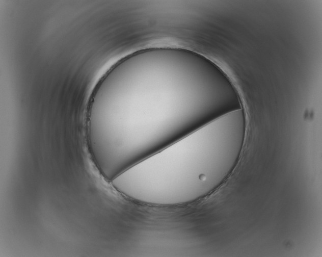 X0000111821008200907301252