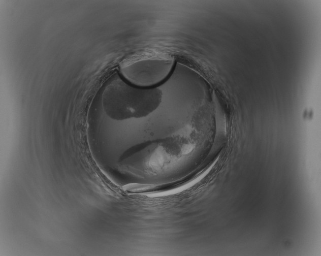 X0000111821009200907301251