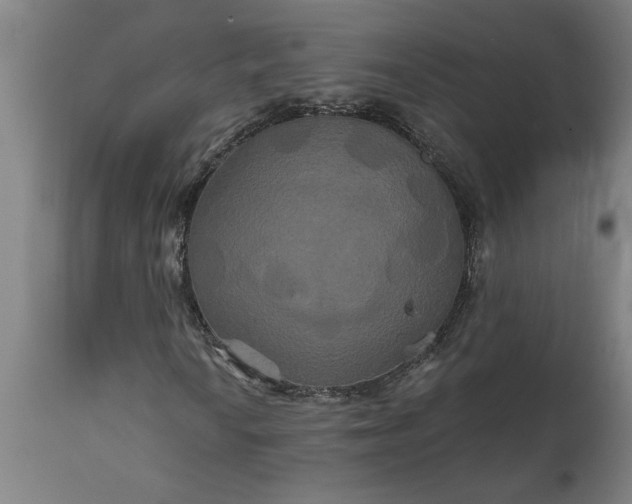 X0000111821010200907301251