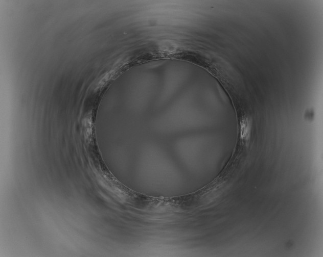 X0000111821011200907301251