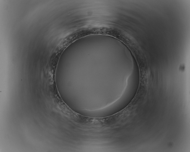 X0000111821013200907301251