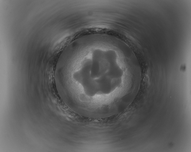 X0000111821014200907301251