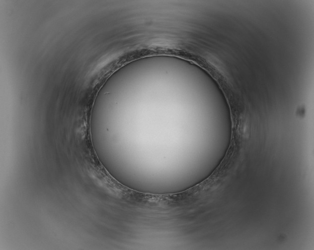 X0000111821015200907301251