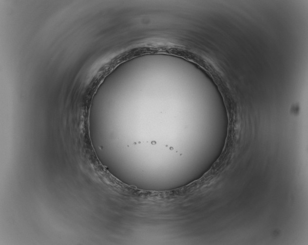 X0000111821016200907301251