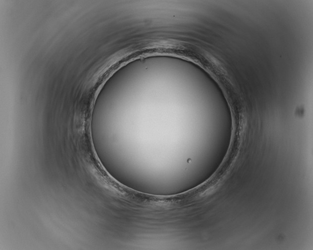 X0000111821017200907301251