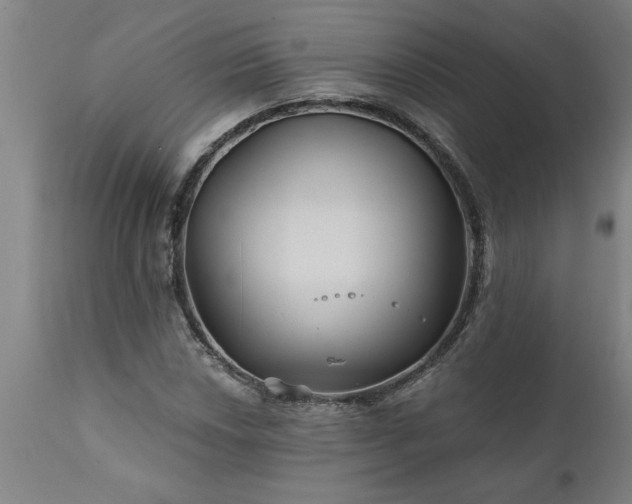 X0000111821018200907301251