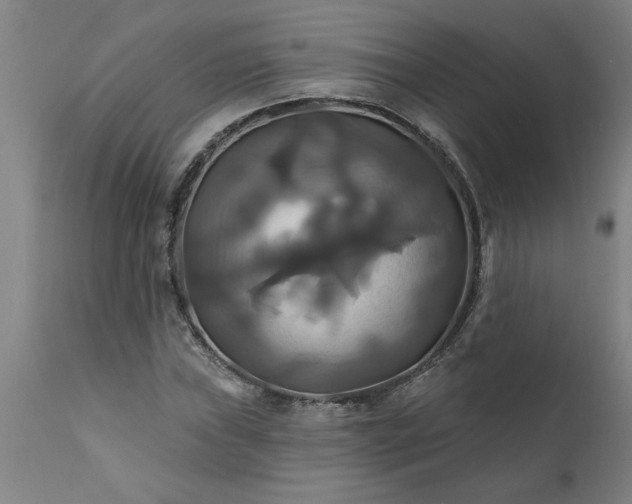 X0000111821019200907301251