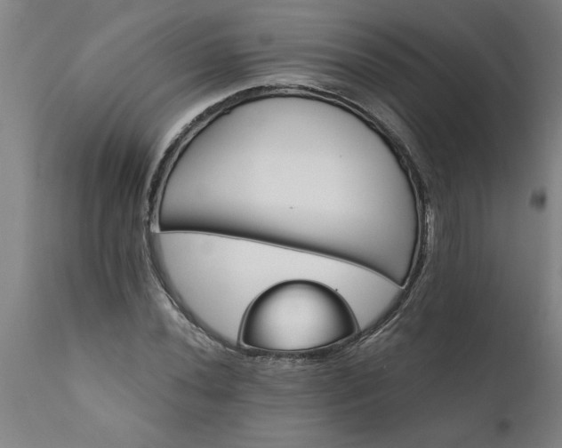 X0000111821020200907301251