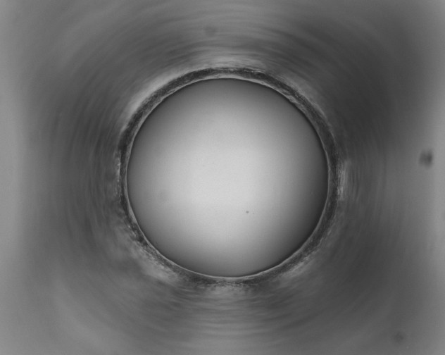 X0000111821021200907301251