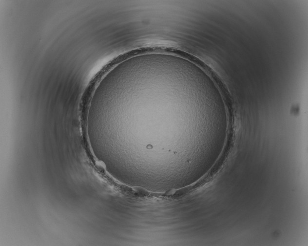 X0000111821022200907301251
