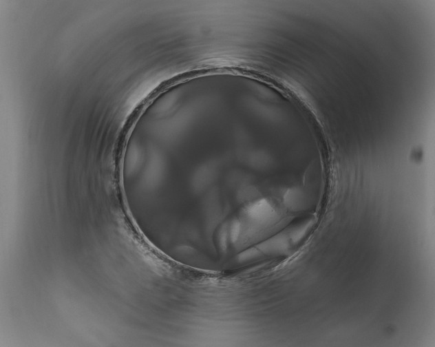 X0000111821023200907301251